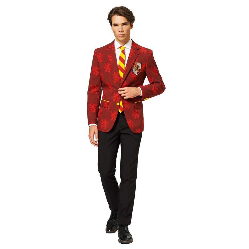 OppoSuits Men's Suit - Harry Potter Costume - Multicolor, 1 of 5