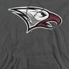 North Carolina Central University Official Distressed Primary Adult Pull-Over Hoodie - 2 of 4