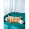 Shiraleah "Pumpkin Spice" Fall Decorative Pillow - 2 of 4