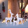 LuxenHome 3-Piece Multi-Color Snowflake Deer Family Outdoor Holiday Decoration with 340 Lights White, Multi - 2 of 4