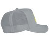 Legends Of The Hidden Temple Silver Snakes Foam Trucker Cap Grey - 3 of 4