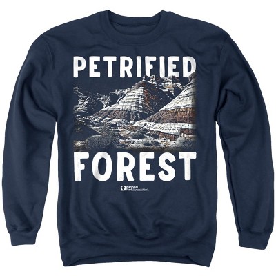 Men's Petrified Forest National Park Majestic Blue Mesa Crewneck Sweatshirt