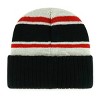 NFL Atlanta Falcons Vista Knit Beanie: Sports Team Logo, Adjustable, One Size - 2 of 2