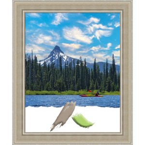 Amanti Art Mezzo Silver Wood Picture Frame - 1 of 4