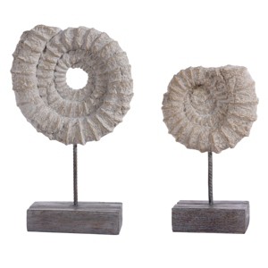 Lena Conch Shells - Set of 2 - RDC1207A - Light Beige/Grey - Safavieh - 1 of 2