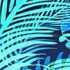 bright palms