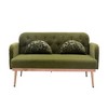 Comfy Upholstered Modern Velvet Loveseat Sofa for Living Bedroom Leisure Areas - image 4 of 4