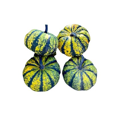 Fresh Lolita Ornamental Pumpkin - each
