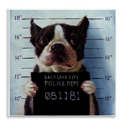 Stupell Industries Boston Terrier Jail Convicted Mugshot, 12" x 12"