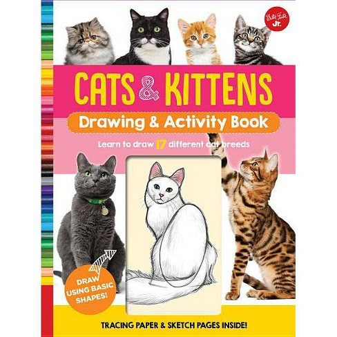 Featured image of post How To Draw Pictures Of Cats