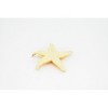 Starfish, Orange, Realistic Plastic Star Fish Model, Toy, Kids Educational Gift, Animal, Figure     1 Inches     CWG142 BB28 - 4 of 4