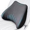 TruAIR Memory Foam Lumbar Support Pillow Ð Back Cushion for Car & Office - 4 of 4
