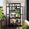 Indoor and Outdoor 62inch Greenhouse, Height Wood Large Greenhouse for Balcony, Greenhouse with Wheels and Adjustable Shelves-Coolbibila - 2 of 4