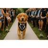 Parisian Pet 'Tuxedo Bandana' - Comfortable, Trendy Formal Black Bandana for Dogs & Cats, Perfect for Special Events - 4 of 4