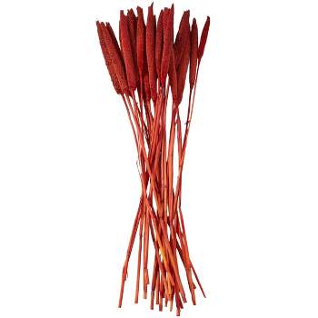 20'' x 1'' Dried Plant Bunny Tail Natural Foliage with Long Stems Red - Olivia & May