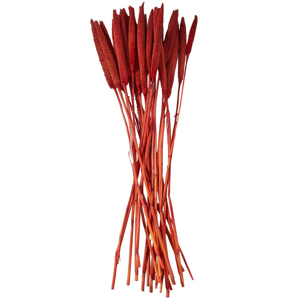 Photos - Coffee Table 20'' x 1'' Dried Plant Bunny Tail Natural Foliage with Long Stems Red - Ol