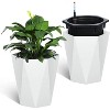 Acekool Set of 2 Self-Watering 16" Tall Planters with Wheels, Water Level Monitor, Large Indoor Outdoor Flower Pots, Drainage, Black - 2 of 4