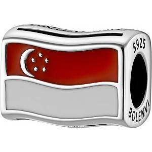 Sterling Silver Travel Charm - World Flags Country Bead for Bracelets, Gift for Mom & Daughter - 1 of 4