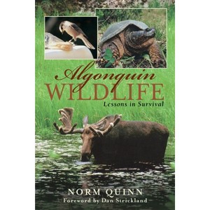 Algonquin Wildlife - by  Norm Quinn (Paperback) - 1 of 1