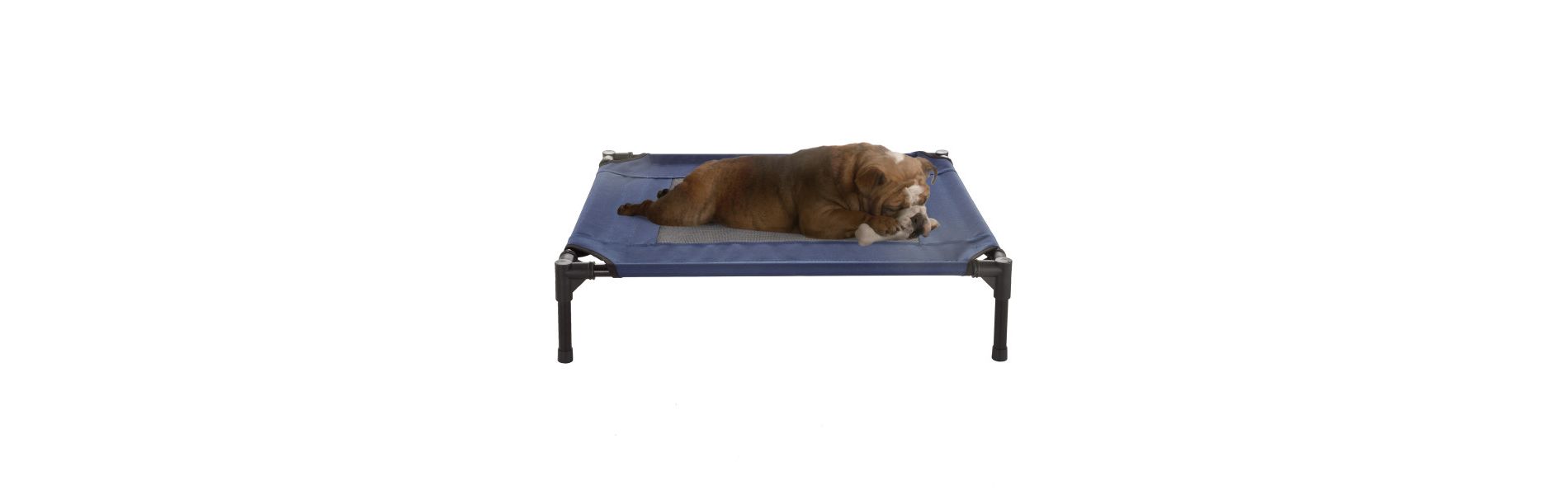 Elevated Dog Bed - 30x24-Inch Portable Pet Bed with Non-Slip Feet - Indoor/Outdoor Dog Cot or Puppy Bed for Pets up to 50lbs by PETMAKER (Blue)