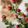 20"H & 16"H Sullivans Artificial Boxwood Berry Christmas Tree Set of 2, Green-Red, Indoor Christmas Decor - 2 of 4