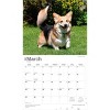 BrownTrout For the Love of Welsh Corgis 2026 14"x24" Hanging Deluxe Wall Calendar Plastic-Free - 3 of 4