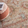 Nourison Petra Oramental Indoor Rug - 3 of 4