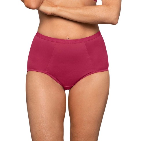 Leonisa Comfy High-waisted Smoothing Brief Panty - Pink Xl : Target