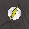 Dc Flash Flash Logo Distressed Adult T-Shirt - 2 of 4