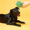 Bark Punk Brocc Broccoli Dog Toy : Target