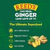 Reed's Extra Ginger Beer - Crafted with Fresh Ginger Root - 12oz Cans,-24 Pack - 3 of 4