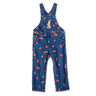 Toddler Adaptive Microscope Embroidered Overalls - Christian Robinson x Target Blue 12M