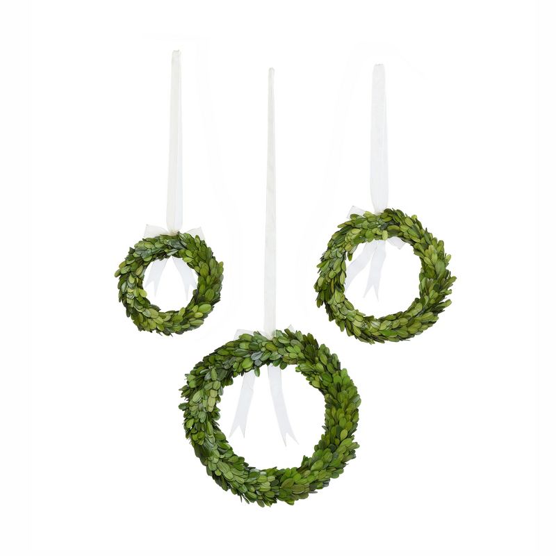 Park Hill Collection Preserved Boxwood Wreaths with Ivory Ribbon, 3 of 5