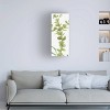 20" x 47" Lisa Audit 'Mixed Greens LX' Unframed Wall Canvas - Trademark Fine Art: Botanical Vertical Artwork - 3 of 4
