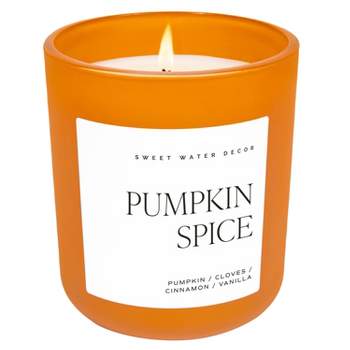 Sweet Water Decor Pumpkin Spice 15oz Orange Matte Jar Candle