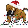 Women's Design By Humans Saint Bernard dog christmas light costume hat santa Fairy lights By Rondes Racerback Tank Top - 2 of 3