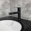 PAGED Bathroom Faucet Single Handle Bathroom Vanity Sink Faucet with Quality Aerator, Faucet for Bathroom Sink - 3 of 4