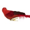 Northlight 9" Red Cardinal with Long Tail Clip-On Christmas Ornament - 4 of 4