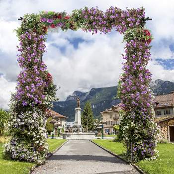Costway Garden Wedding Rose Arch Pergola Archway Flowers Climbing Plants Trellis Metal