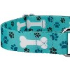 Country Brook Petz Martingale Dog Collar - Dog's Life Collection - 4 of 4