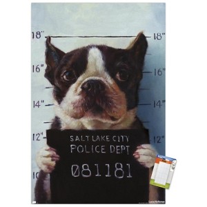 Trends International Lucia Heffernan Art - Boston Mug Shot Unframed Wall Poster Prints - 1 of 4