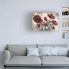 Trademark Fine Art -Silvia Vassileva 'Floral Simplicity' Canvas Art - 2 of 4