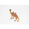 Camel, Bactrian, Mongolian camel, Very Nice Plastic Design, Animal Figure, Figure, Model, Figurine, Replica, Toy, Gift,  4 Inches.   CWG172 BB40 - 4 of 4