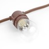Novelty Lights Edison Outdoor String Lights with 50 In-Line Sockets Brown Wire 100 Feet - 4 of 4