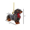 Kurt Adler Noble Gems Glass Ornament for Christmas Tree, Dachshund - 3 of 3