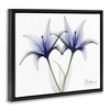 Stupell Industries X-Ray Lily Flowers Black Framed Floater Canvas Wall Art - 3 of 4