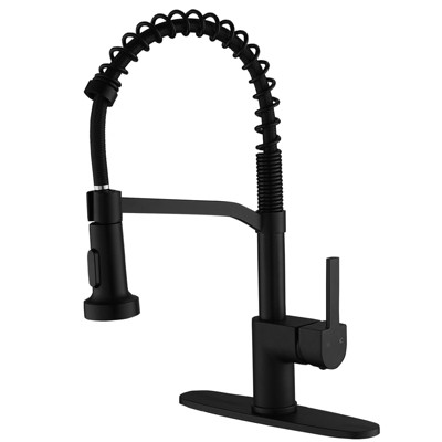 Single-Handle Pull-Down Sprayer 2 Spray High Arc Kitchen Faucet With Deck Plate in Matte Black