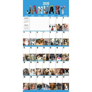 TF Publishing 13.5"x14.5" 2026 Dog-A-Day Wall Calendar - 1 of 4