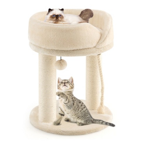 Target 2024 cat condo