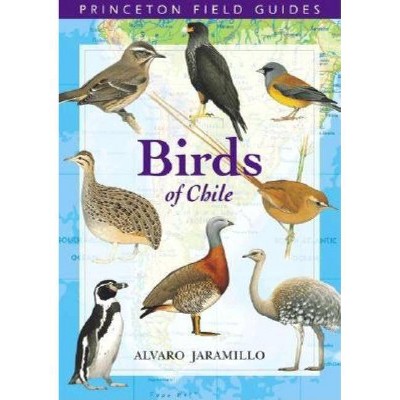 Birds of Chile - (Princeton Field Guides) by  Alvaro Jaramillo (Paperback)